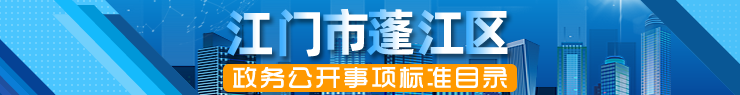 基層政務公開標準目錄