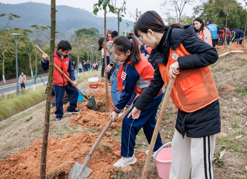 江門市范羅岡小學.jpg